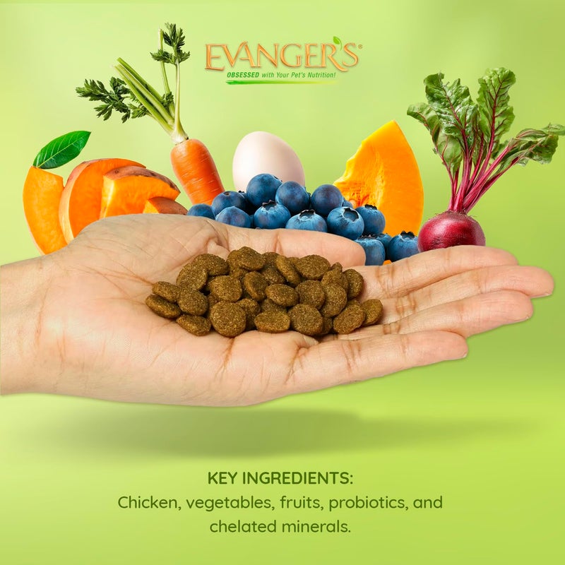 Evanger's Grain Free Chicken with Sweet Potato & Pumpkin Dry Food for Dogs â€“ 4.4 lb â€“ Fresh Deboned Chicken, Probiotics, Omegas 3 & 6, Grain-Free, All Life Stages - Image 5